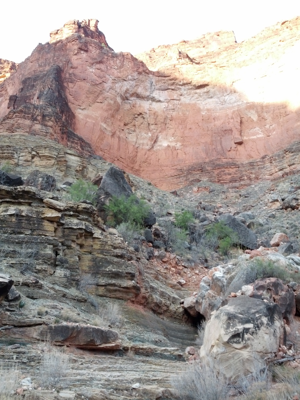 IMG_20130316_073515.jpg